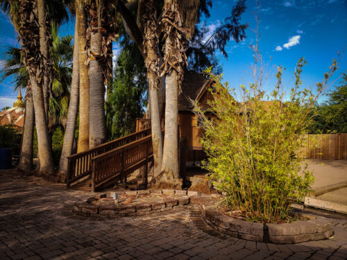 Guided Tour - Phoenix Zoo